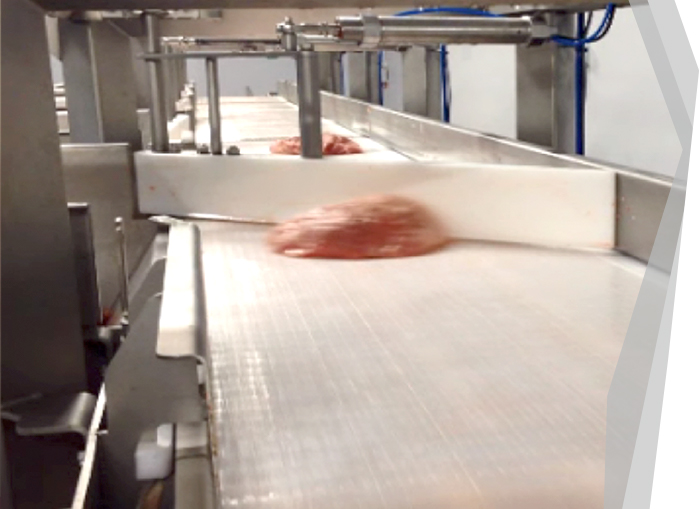 Red Meat Processing - Pork Batching & Grading