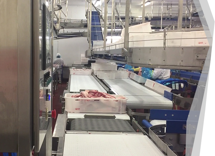 Red Meat Processing - Pork Packing Station - Carousel System