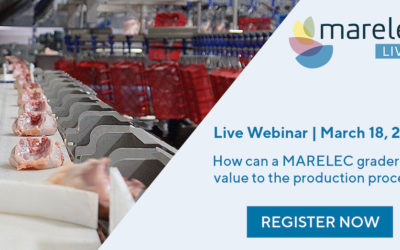 Live Webinar – How can a Marelec Grader add value to your production process