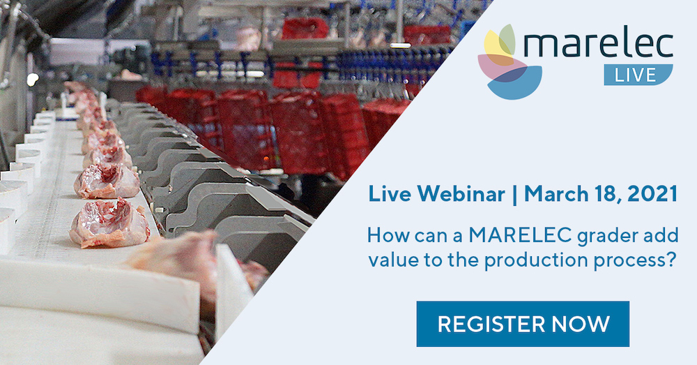 Live Webinar – How can a Marelec Grader add value to your production process
