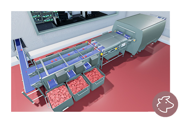 Virtual-Showroom---Meat-Processing