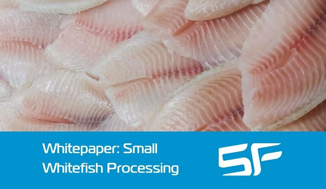 How to Profitably Process Small Whitefish in the UK and Ireland – Whitepaper