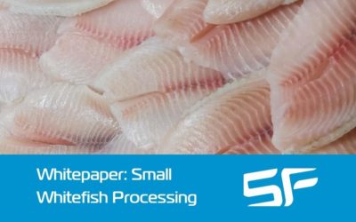 How to Profitably Process Small Whitefish in the UK and Ireland – Whitepaper