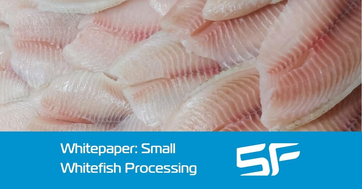 Profitably processing small whitefish for human consumption