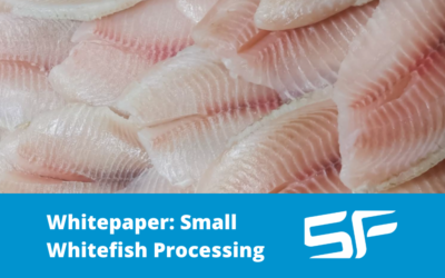 How to Profitably Process Small Whitefish in the UK and Ireland – Whitepaper