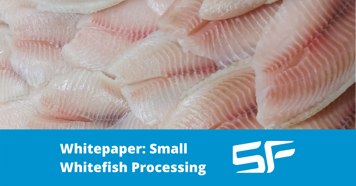 Profitably processing small whitefish for human consumption Profitably processing small whitefish for human consumption