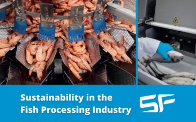 7 Priorities for Making the Fish Processing Industry More Sustainable