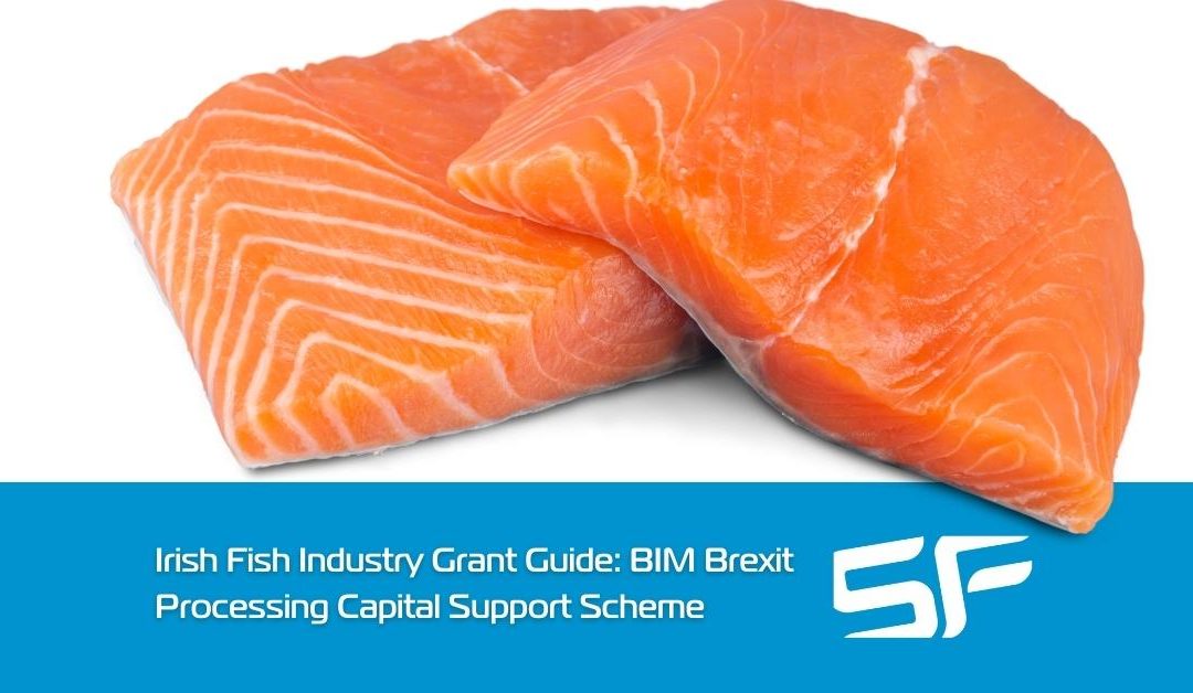 Irish BIM Brexit Processing Capital Support Scheme – A Quick Guide