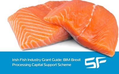 Irish BIM Brexit Processing Capital Support Scheme – A Quick Guide