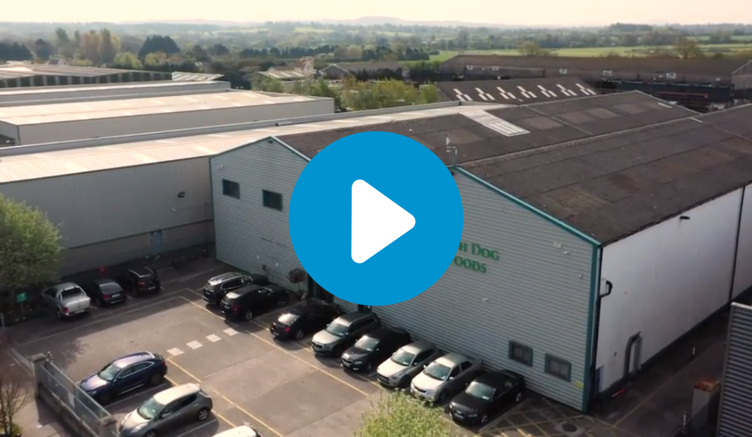 Video: Improving Throughput and Productivity with a New Packing Line for Irish Dog Foods