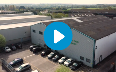 Video: Improving Throughput and Productivity with a New Packing Line for Irish Dog Foods