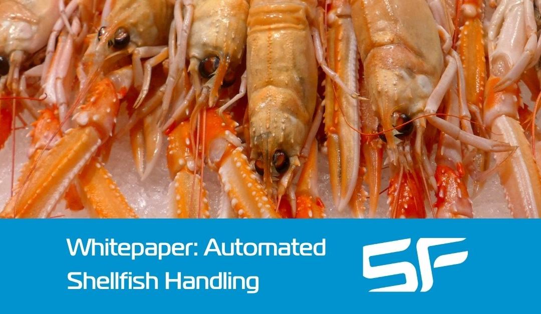 Automated Shellfish Handling: Reducing Damaged Product Losses by Up to 60% – Whitepaper