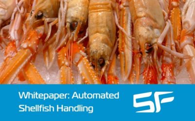 Automated Shellfish Handling: Reducing Damaged Product Losses by Up to 60% – Whitepaper