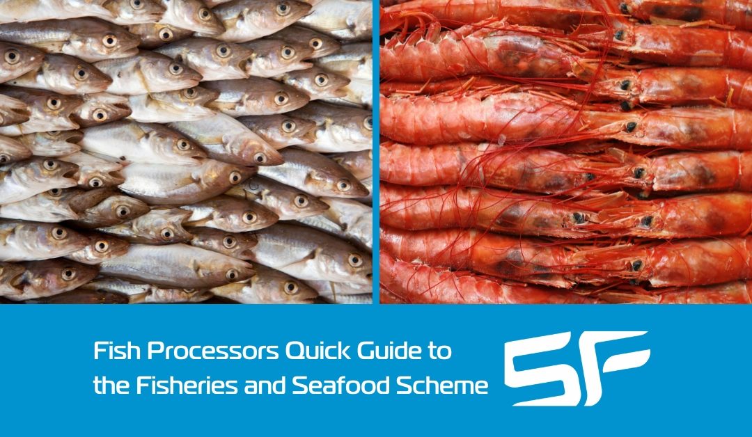 Getting Funding Through the Fisheries and Seafood Scheme – a Quick Guide for Fish Processors