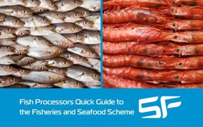 Getting Funding Through the Fisheries and Seafood Scheme – a Quick Guide for Fish Processors