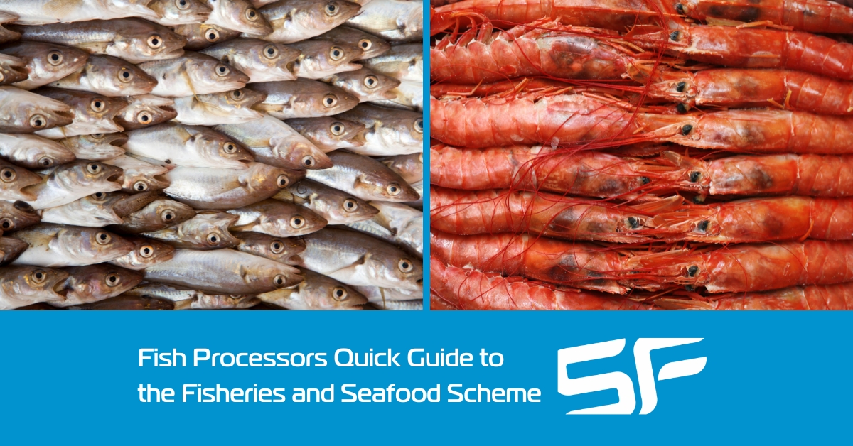 Getting Funding Through the Fisheries and Seafood Scheme – a Quick Guide for Fish Processors