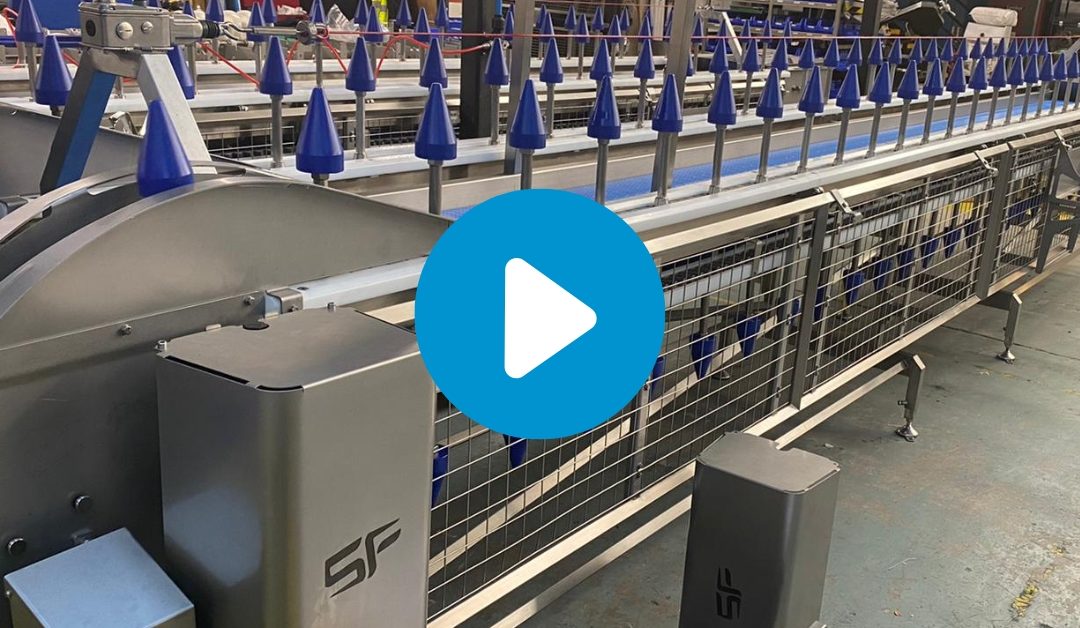 Pre-Delivery Inspection of a Semi-automated Poultry Deboning Cone Line