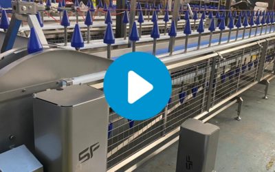 Pre-Delivery Inspection of a Semi-automated Poultry Deboning Cone Line