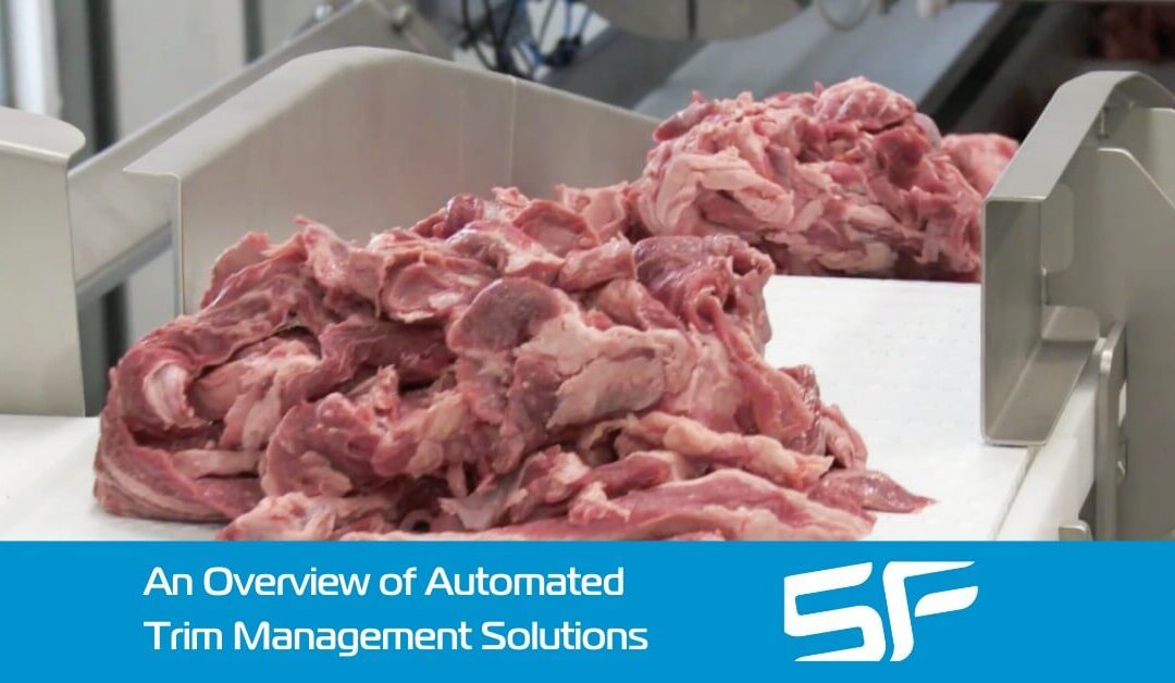 Automated Trim Management: The Next Stage of Your Factory’s Evolution